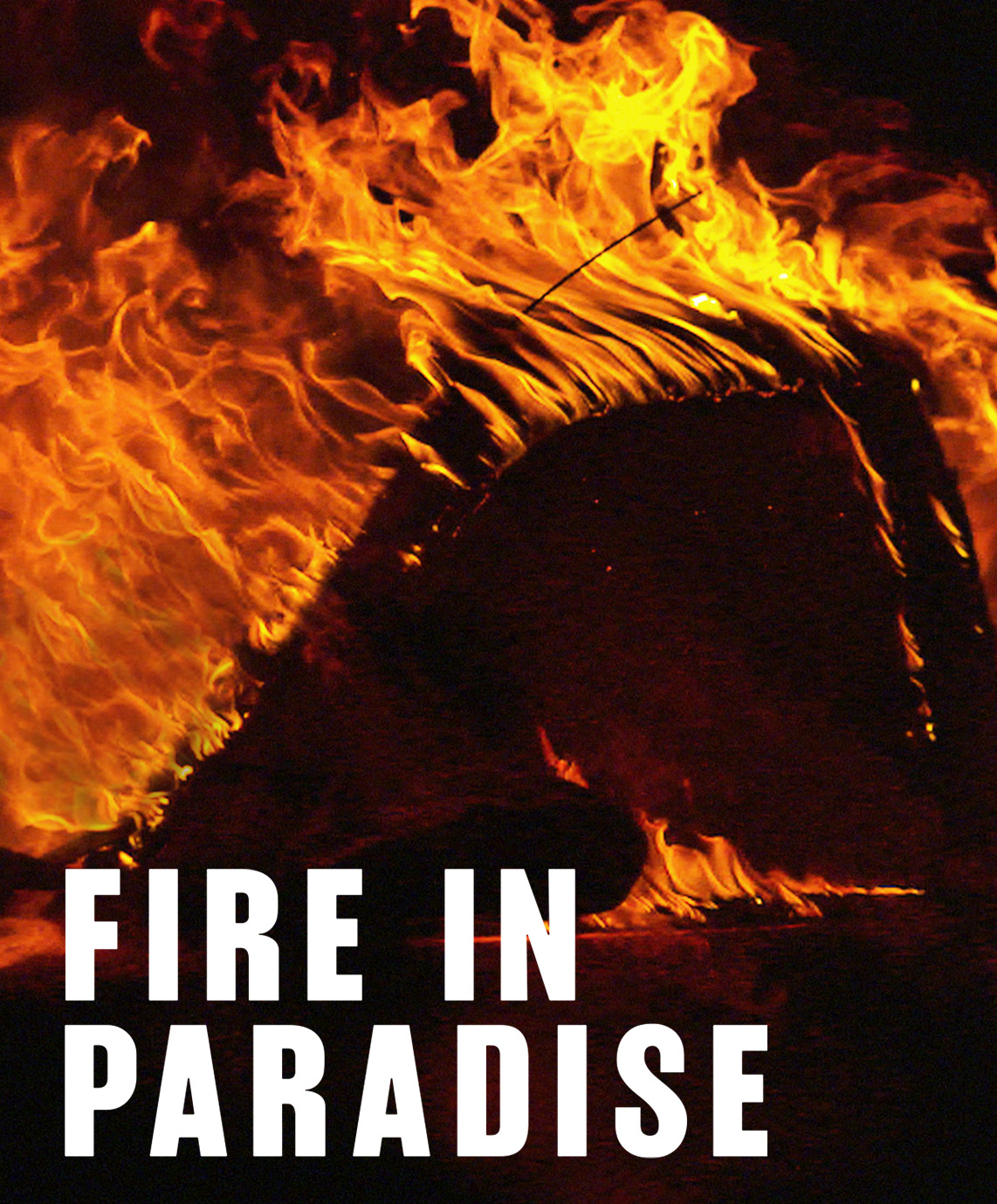 FIRE IN PARADISE - PRODUCT CREATIVE ARTWORK
